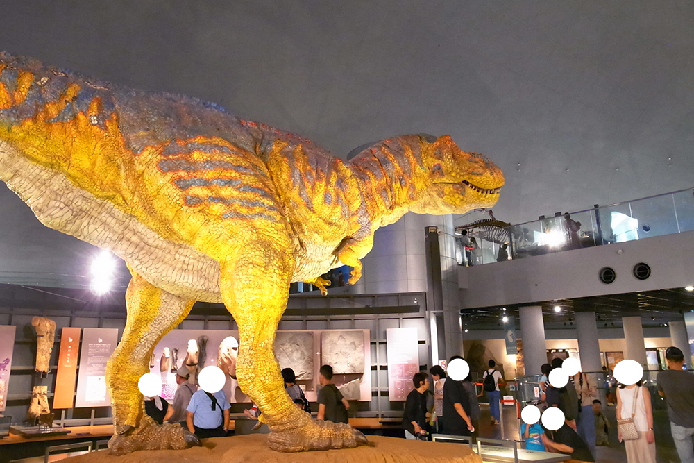 福井県立恐竜博物館 の常設展示室