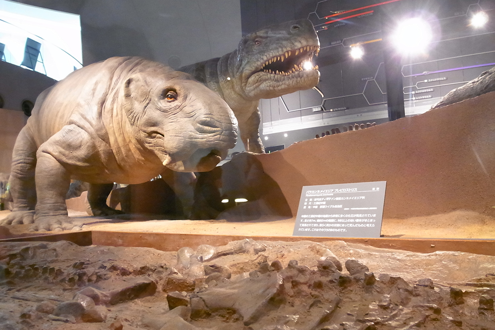 福井県立恐竜博物館 の常設展示室