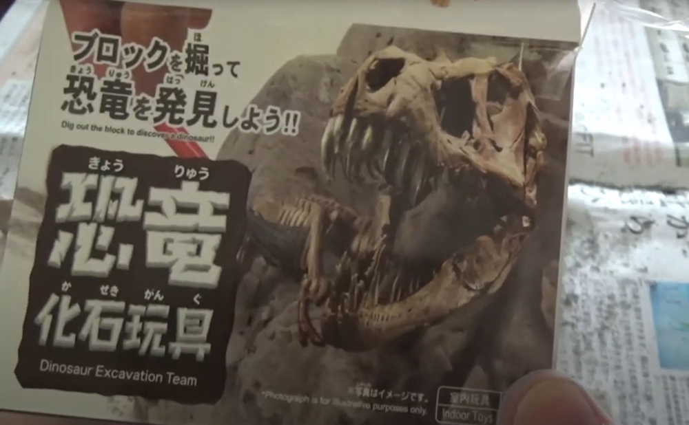 ダイソー 100円の恐竜化石玩具がスゴすぎた トイコレ 人生はおもちゃ箱