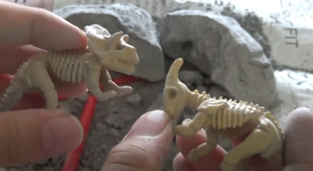 【ダイソー】100円の恐竜化石玩具