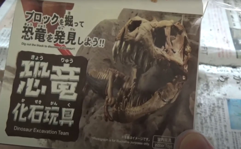 【ダイソー】100円の恐竜化石玩具